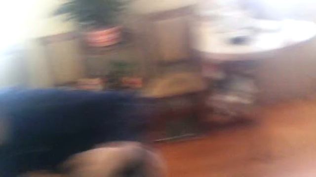 "Орёл или Решка.Игра в слабо"-4 смотреть онлайн