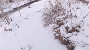 МОЙ НИКОГДА НЕЗАМЕРЗАЮЩИЙ ПРУД ЗИМОЙ. Постоянная бесплатная аэрация пруда зимой.