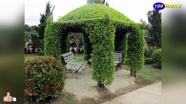 Landscape design ideas: "live" gazebo! 35 examples of arbors made of trees, braided rods! смотреть онлайн