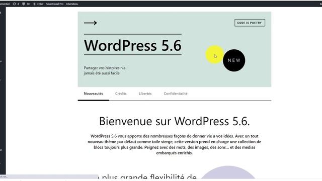 COMMENT METTRE A JOUR WORDPRESS ET POURQUOI EST-CE IMPORTANT ? смотреть онлайн