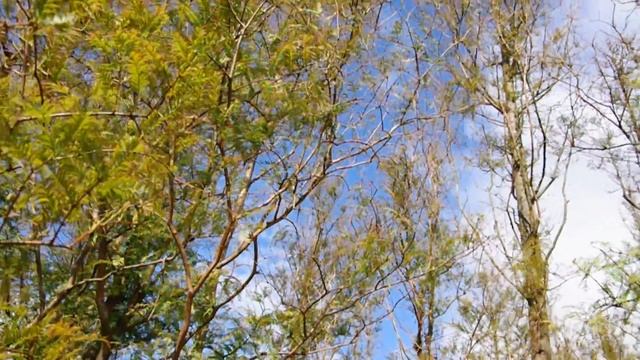 【PENTAX K 70】1920 x 1080 60p‧Test C смотреть онлайн