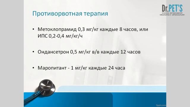 Анестезиологические аспекты физиологии пищеварения у собак и кошек смотреть онлайн