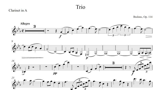 Brahms - Trio, Op. 114 - Clarinet Play-Along смотреть онлайн