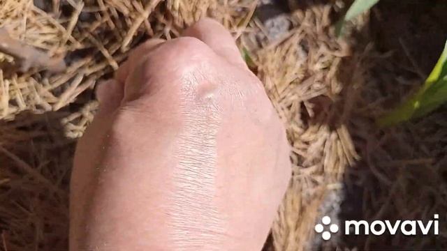 3 мая в теплице,в огороде.Посадила свеклу,кабачки смотреть онлайн