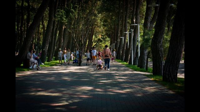 Street photography ? Геленджик /Sony a6000 #streetphotography #photography#sonya6000 смотреть онлайн