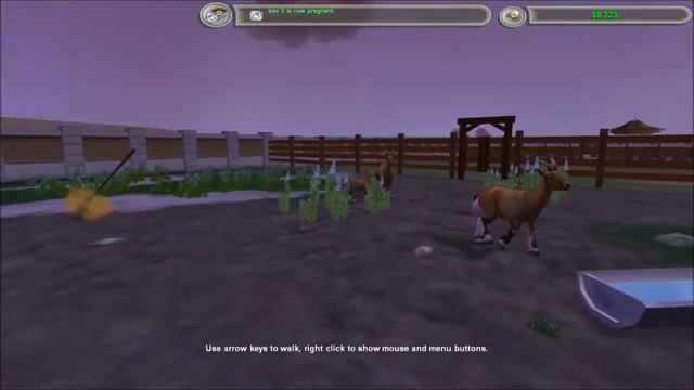 Zoo Tycoon 2: UC Challenge 4 - A New Mini-game! смотреть онлайн