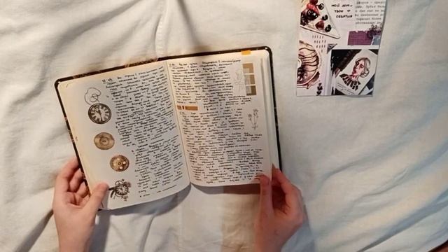 личный дневник с оранжевыми рыбами | закончен | journal flip through смотреть онлайн