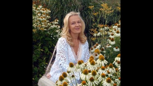 РОМАШКА ЦВЕТОК ПОЛЕВОЙ смотреть онлайн