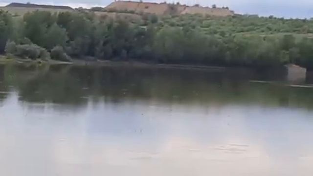 Рыбалка отдых на дону смотреть онлайн