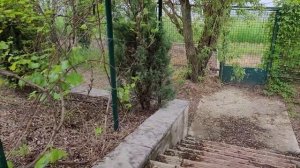 Фундук в Украине. Ореховый долгоносик. Как и когда с ним бороться.