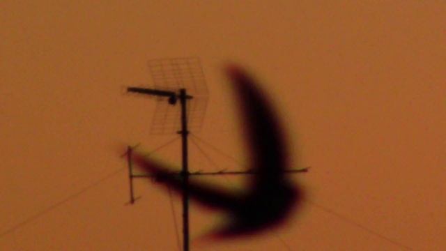 zoom test canon legria HF R606 смотреть онлайн