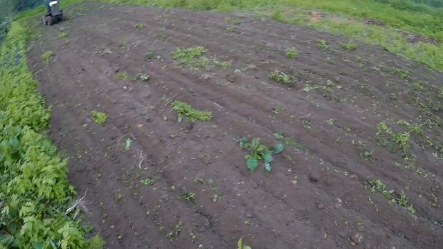 Самодельный культиватор к минитрактору на базе мотоблока МТЗ: первые испытания смотреть онлайн