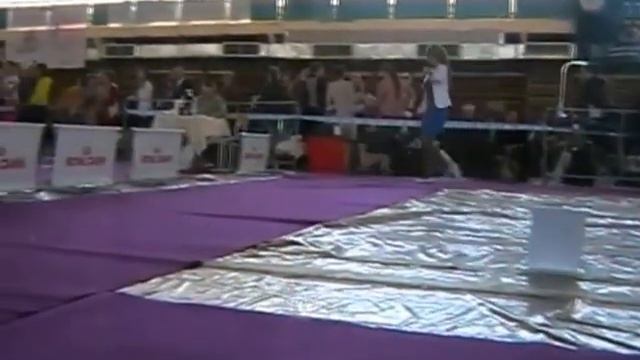 Монопородка. Левретки Part1 смотреть онлайн