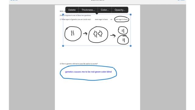 170120 pdf annotation смотреть онлайн