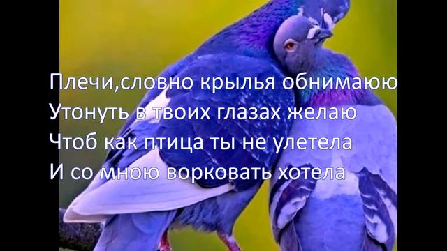 Караоке под гитару: "Голуби целуются на крыше" смотреть онлайн