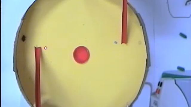 Attracting the BMSB, Halyomorpha halys, by female playback смотреть онлайн