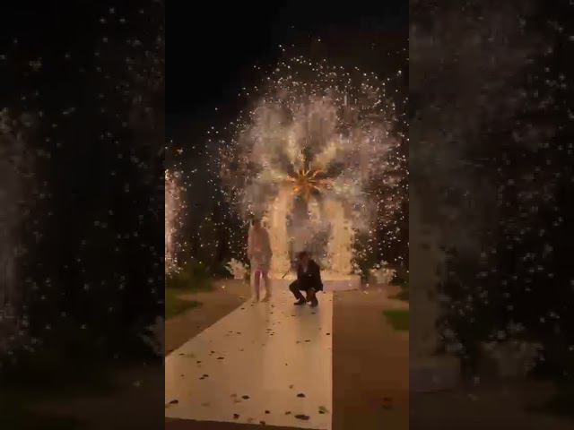 Вертушка в виде цветка на свадьбу из 12 пышных ярких фонтанов, 6 крутятся в одну сторону, 6 в другую смотреть онлайн