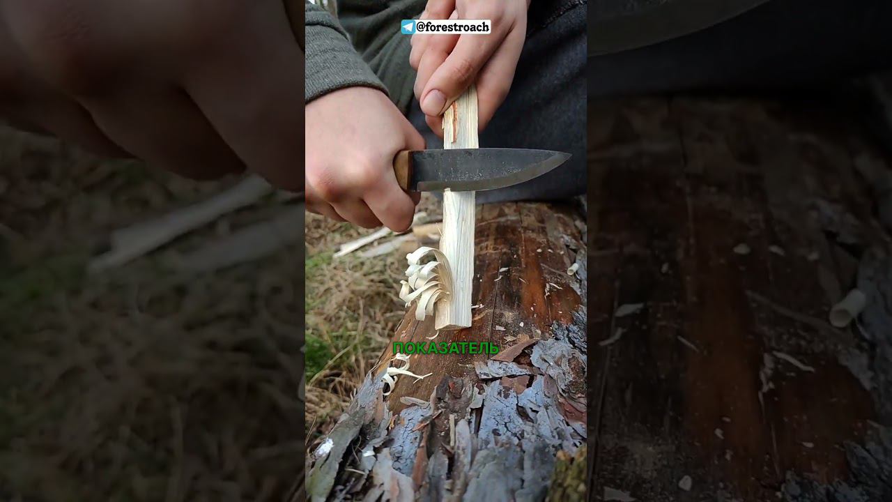 ОГНЕННОЕ ПЕРО-ЛУЧШАЯ РАСТОПКА ДЛЯ КОСТРА? #бушкрафт #wood #выживание #diy #bushcraft #survival смотреть онлайн