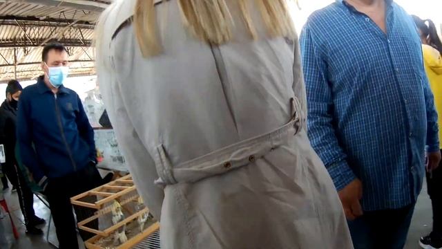 Птичий рынок в Ташкенте 2020 смотреть онлайн