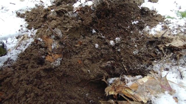 MAKRO MULTI KRUZER Pierwszy Test W Terenie (Subtitles)