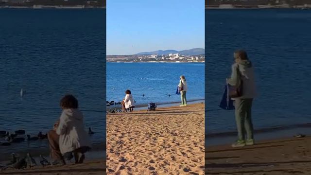 Геленджик сегодня.Это так прекрасно- синее море, синее небо,желтый песок.Белые корабли! смотреть онлайн