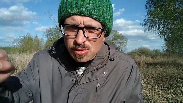 Добро пожаловать на стрим! Бухгалтер в эфире смотреть онлайн