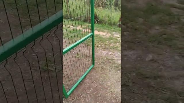 Забор с калиткой и воротами своими руками. смотреть онлайн