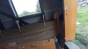 Утепление стен опилкобетоном. Состав не сохнет.