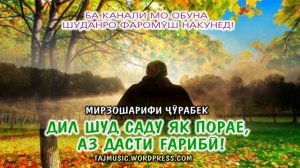 Мирзошарифи Чурабек - Дил саду як пора шуд....mp4