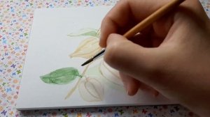 Акварель для начинающих.  Как нарисовать цветы ФИЗАЛИС