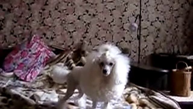 Леся смущается камеры смотреть онлайн
