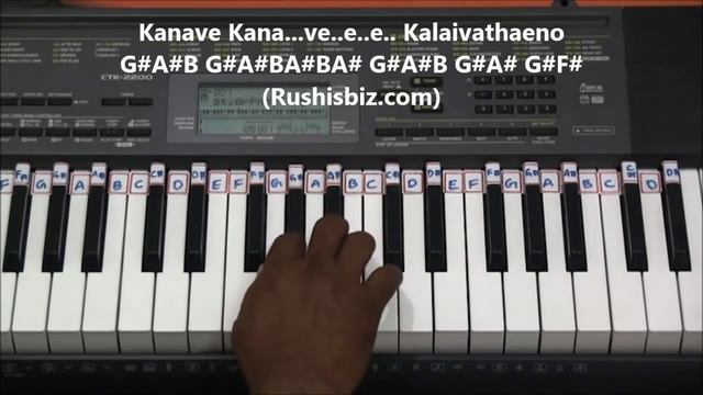 Kanave Kanave - Piano Tutorials - David Movie | 1200 SONGS/PDF BOOK @399/- 7013658813 смотреть онлайн