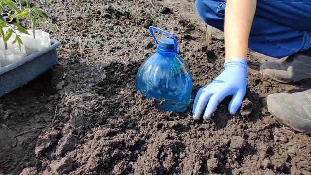 Simple & Quick Drip Irrigation System for Growing Tomatoes смотреть онлайн