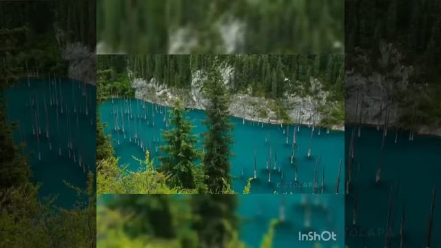 Цвети , мой Казахстан смотреть онлайн