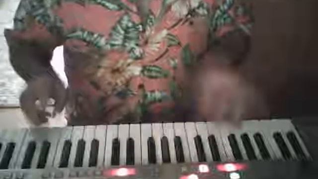 Bella ciao ska punk Roland E80 смотреть онлайн
