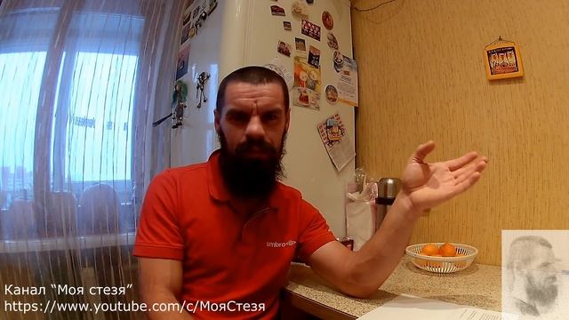 Переписка с россельхознадзором по Псковской области, и другие электронные переписки смотреть онлайн