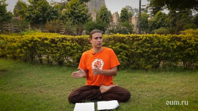 Что такое Дхарма. Арийские Истины. Антон Чудин