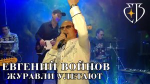 ЖУРАВЛИ УЛЕТАЮТ - Евгений Войнов