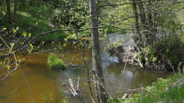 Речка Ислочь смотреть онлайн