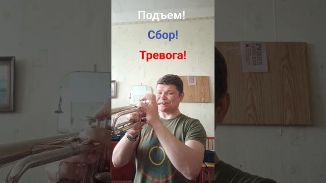 Пионерские сигналы! смотреть онлайн