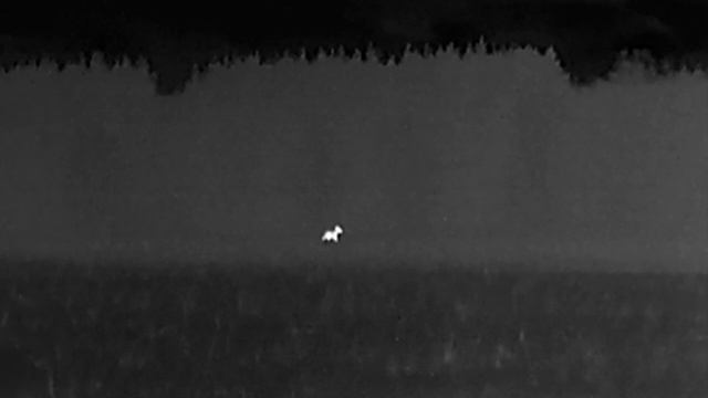 Лось Партизан.mp4 смотреть онлайн