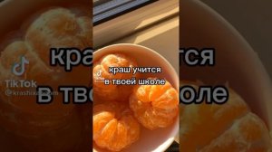 Пой эту песню если ты ? Версия про краша ??