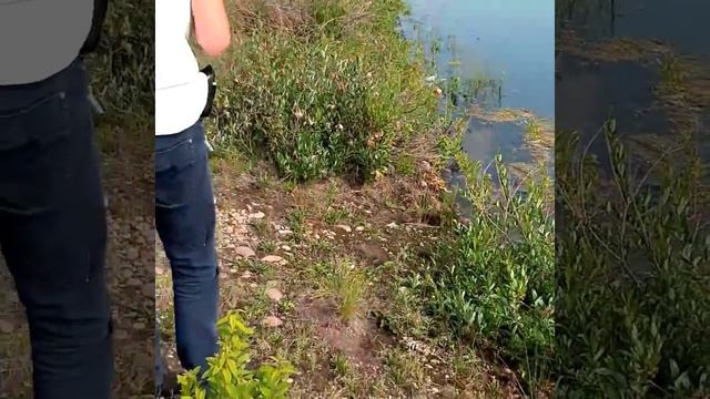 Окунь смотреть онлайн