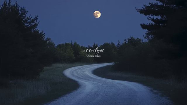 A Quiet Playlist For Summer Nights (reading Studying)