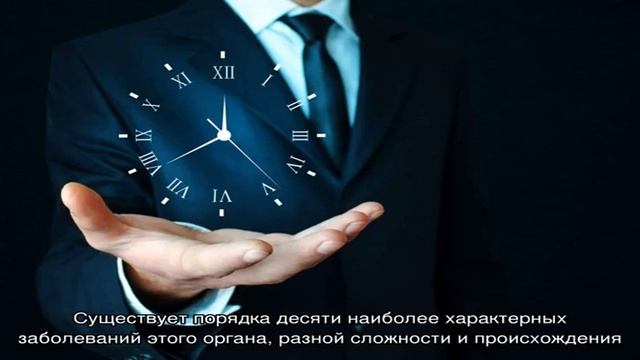 Носоглотка - строение и функции смотреть онлайн