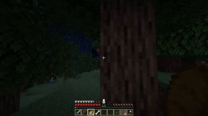 Смогут Ли Игроки Minecraft Пережить Визер Шторм в Хардкоре?