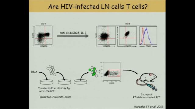 Chair: Paul Johnson (Harvard Medical School) & Thorsten Mempel (HMS) | Center for AIDS Research смотреть онлайн