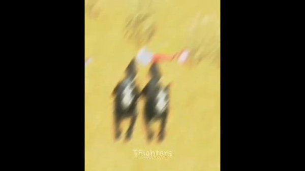 TikTok compilation WildCraft #4 | ItzDrakon4ik | WildCraft