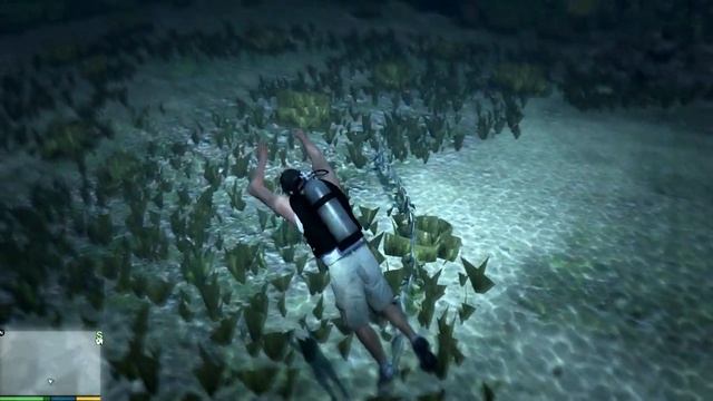ПАСХАЛКА В GTA 5-СКЕЛЕТ МОРСКОГО ЧУДОВИЩА смотреть онлайн
