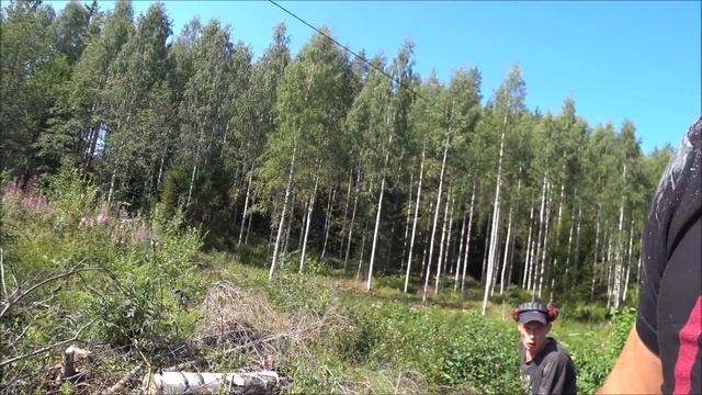 Как я дрова заготавливаю. смотреть онлайн